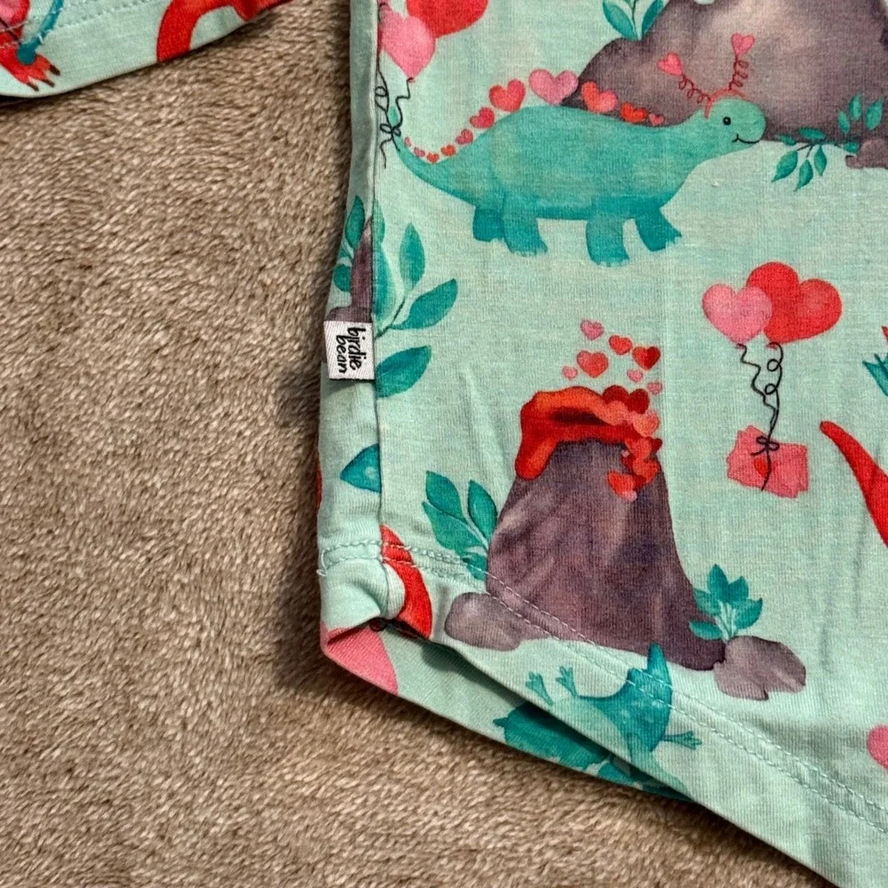 Birdie Bean Kids 4T Bamboo Pajama Set Valentines Dinosaur Blue Red Long Sleeve